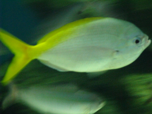 ưʪԤΥʤΥᥤɥʥᥤɥ