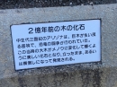 動物編の化石科のキノカセキ(木の化石)