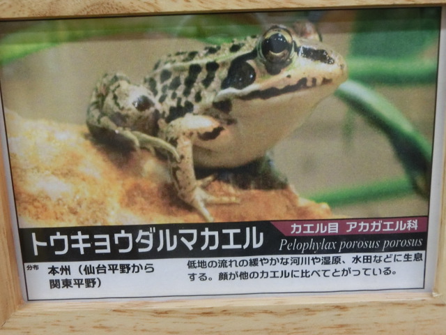 ưʪԤΥʤΥȥ祦ޥʥȥ祦ޥ