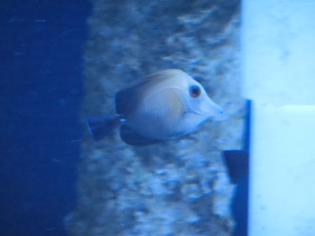 ưʪԤΥ˥ʤΥޥϥʥޥϥ