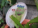 ʪԤΥ饻˥ʤΥ饻˥ʥ饻˥