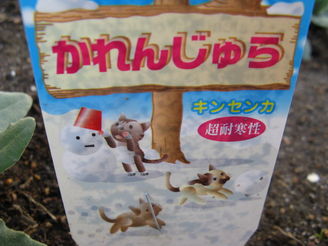 ʪԤΥʤΥ󥸥ʥ󥸥