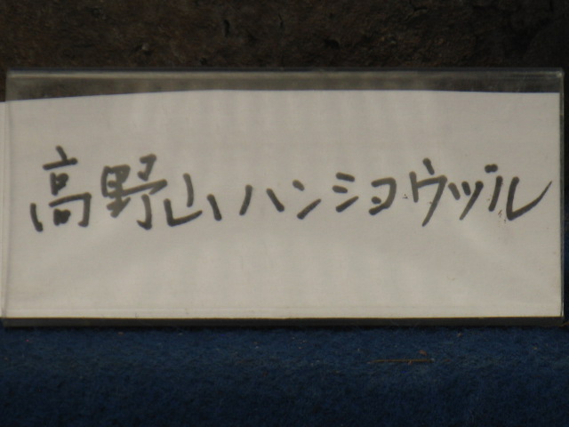 ʪԤΥݥʤΥϥ󥷥祦ťʥϥ󥷥祦ť