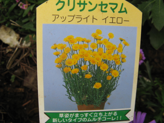 ナンでも図鑑 （植物編）